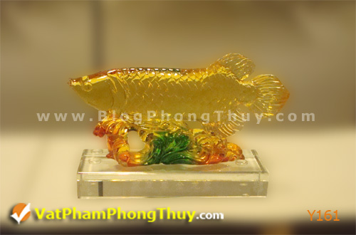 ca phong thuy Y161 Cá Phong Thủy – Vật phẩm tượng trưng của sự may mắn, phú quý, giàu sang với hơn 20 kiểu dáng tuyệt đẹp