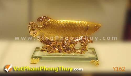 ca phong thuy Y162 Cá Phong Thủy – Vật phẩm tượng trưng của sự may mắn, phú quý, giàu sang với hơn 20 kiểu dáng tuyệt đẹp