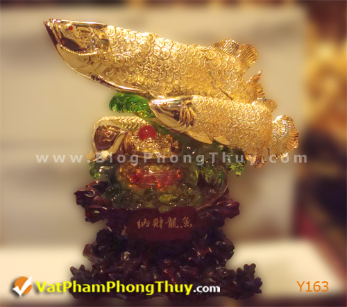 ca phong thuy Y163 Cá Phong Thủy – Vật phẩm tượng trưng của sự may mắn, phú quý, giàu sang với hơn 20 kiểu dáng tuyệt đẹp