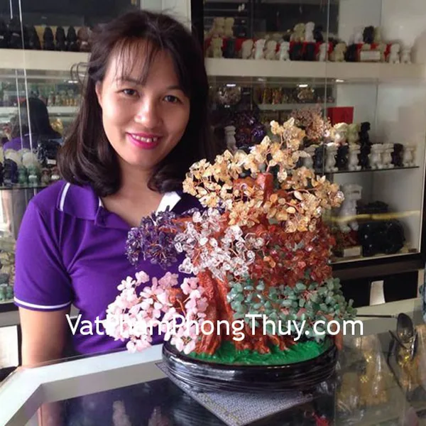 Chị Yến - khách hàng mua cây tài lộc ngũ hành KC030
