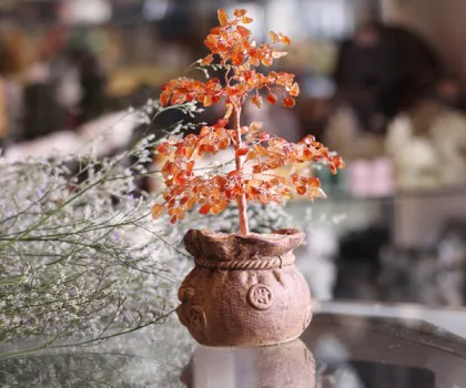Cây tài lộc mã não đỏ túi tiền KC097